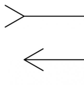 Müller-Lyer Illusion