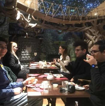 students at a cat cafe